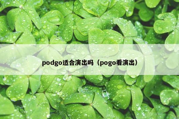podgo适合演出吗（pogo看演出）