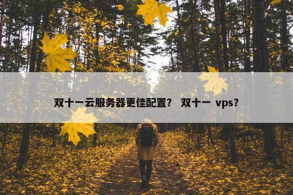 双十一云服务器更佳配置? 双十一 vps?