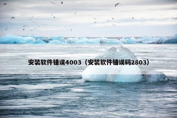 安装软件错误4003（安装软件错误码2803）