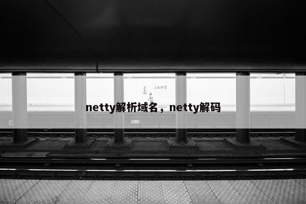 netty解析域名，netty解码