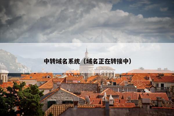 中转域名系统(域名正在转接中)
