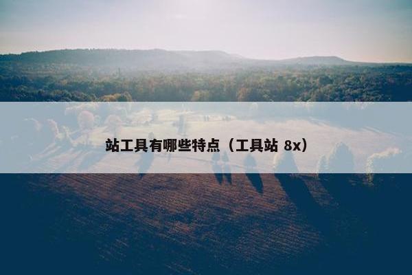 站工具有哪些特点（工具站 8x）