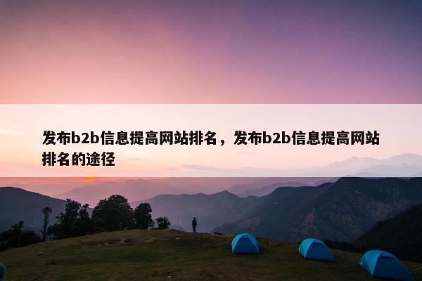 发布b2b信息提高网站排名，发布b2b信息提高网站排名的途径