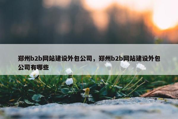 郑州b2b网站建设外包公司,郑州b2b网站建设外包公司有哪些
