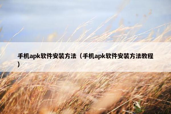 手机apk软件安装方法（手机apk软件安装方法教程）