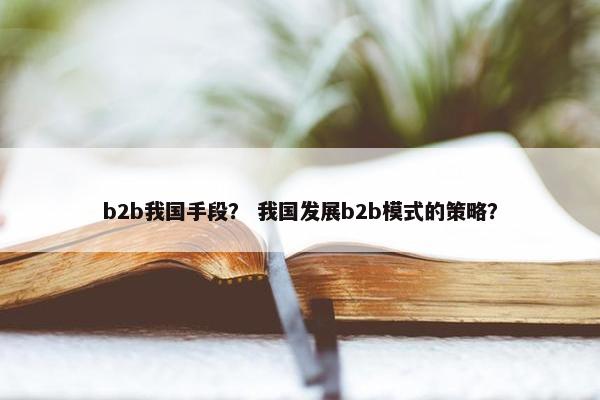 b2b我国手段？ 我国发展b2b模式的策略？