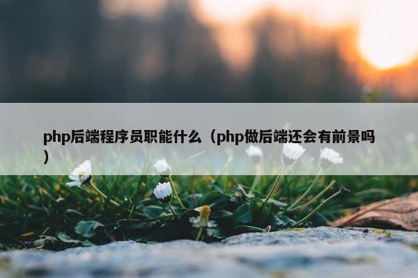 php后端程序员职能什么（php做后端还会有前景吗）