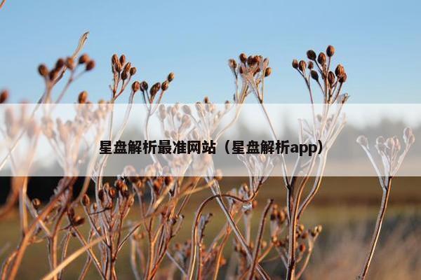 星盘解析最准网站（星盘解析app）