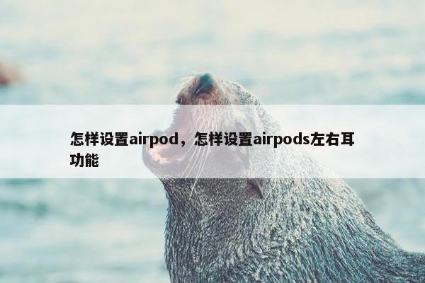 怎样设置airpod，怎样设置airpods左右耳功能