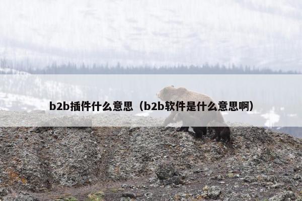 b2b插件什么意思（b2b软件是什么意思啊）