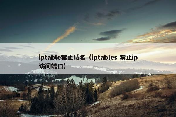 iptable禁止域名（iptables 禁止ip访问端口）