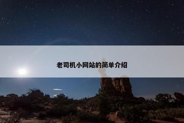 老司机小网站的简单介绍