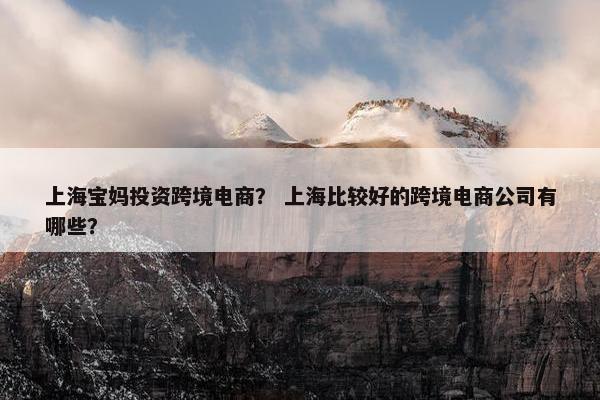 上海宝妈投资跨境电商？ 上海比较好的跨境电商公司有哪些？