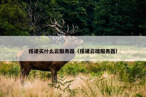 搭建买什么云服务器(搭建云端服务器)