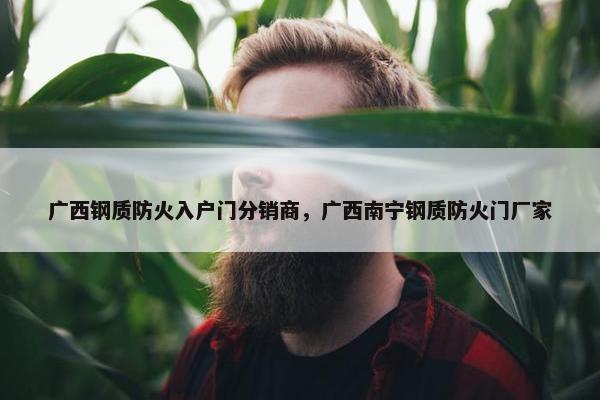 广西钢质防火入户门分销商，广西南宁钢质防火门厂家