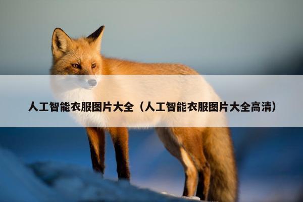 人工智能衣服图片大全（人工智能衣服图片大全高清）