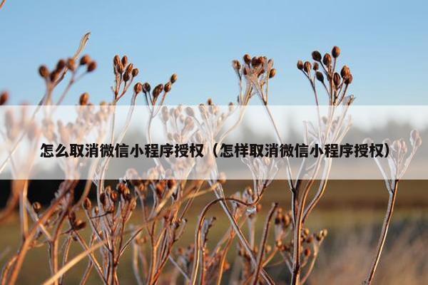 怎么取消微信小程序授权（怎样取消微信小程序授权）