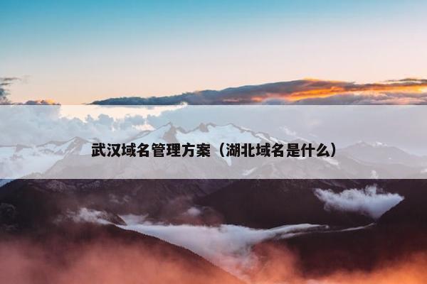 武汉域名管理方案(湖北域名是什么)