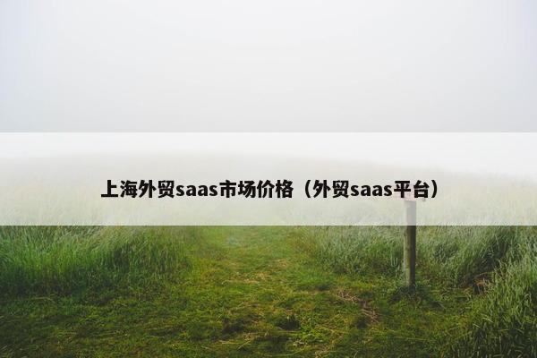 上海外贸saas市场价格（外贸saas平台）