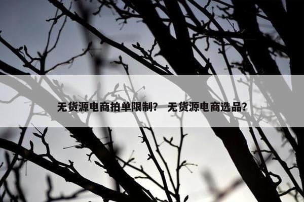 无货源电商拍单限制？ 无货源电商选品？