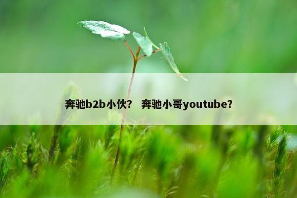 奔驰b2b小伙？ 奔驰小哥youtube？