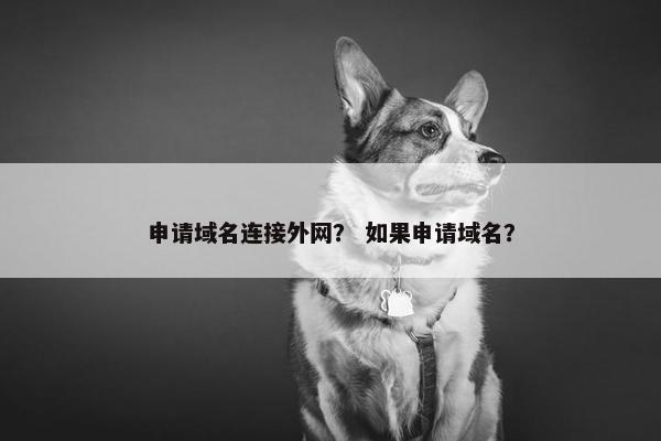 申请域名连接外网? 如果申请域名?