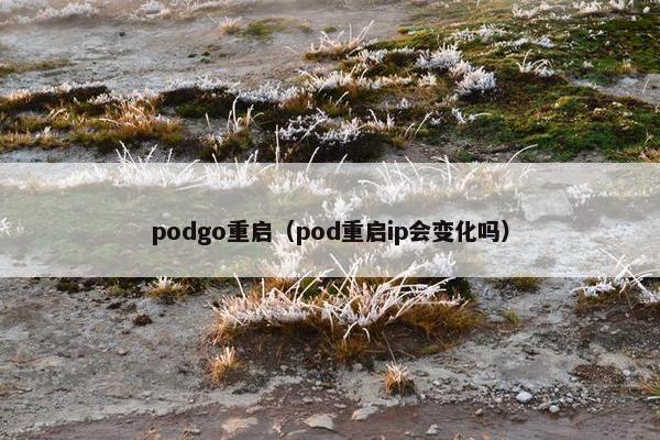 podgo重启（pod重启ip会变化吗）