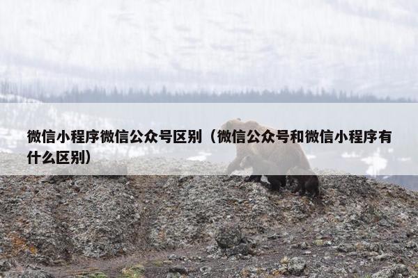 微信小程序微信公众号区别（微信公众号和微信小程序有什么区别）