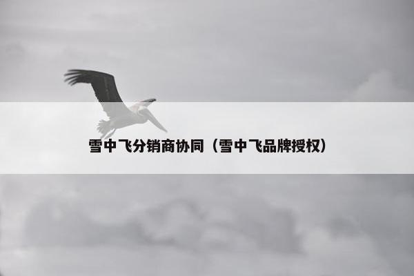雪中飞分销商协同（雪中飞品牌授权）