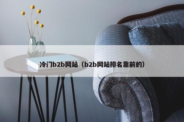 冷门b2b网站（b2b网站排名靠前的）