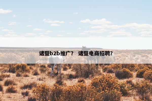 诸暨b2b推广？ 诸暨电商招聘？