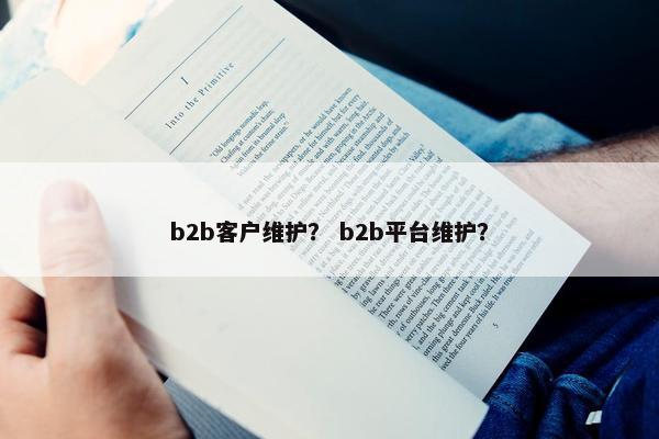 b2b客户维护？ b2b平台维护？