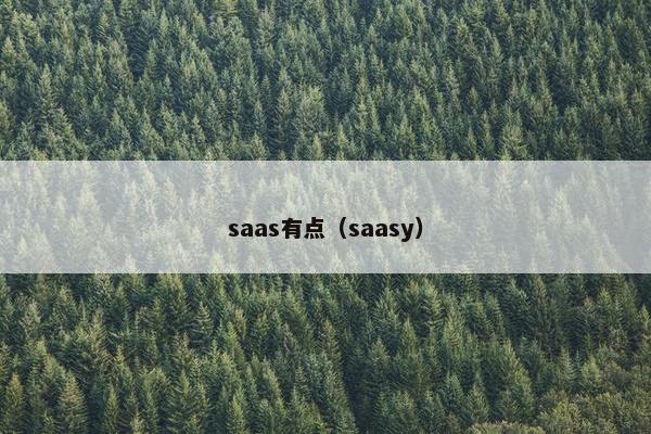 saas有点（saasy）