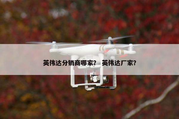 英伟达分销商哪家？ 英伟达厂家？