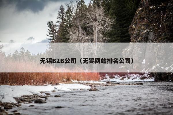 无锡B2B公司（无锡网站排名公司）