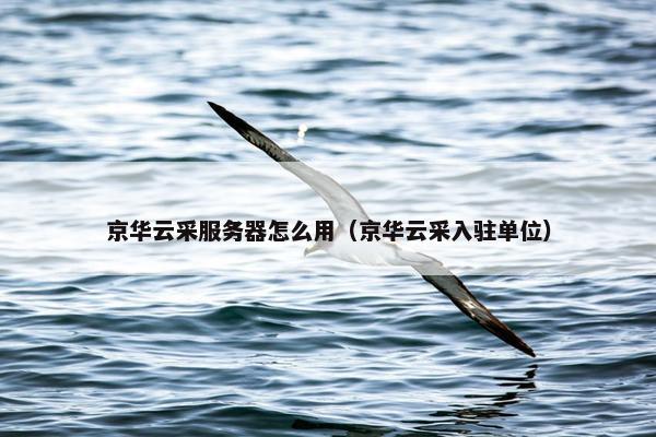 京华云采服务器怎么用（京华云采入驻单位）