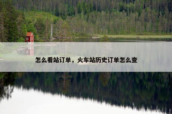 怎么看站订单,火车站历史订单怎么查