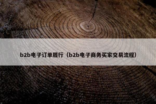 b2b电子订单履行（b2b电子商务买家交易流程）