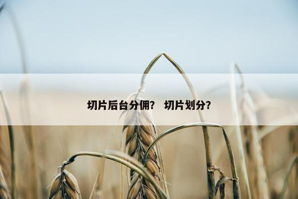 切片后台分佣? 切片划分?