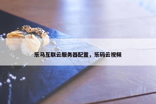 乐马互联云服务器配置，乐码云视频