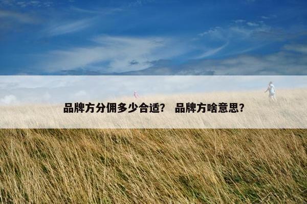 品牌方分佣多少合适？ 品牌方啥意思？