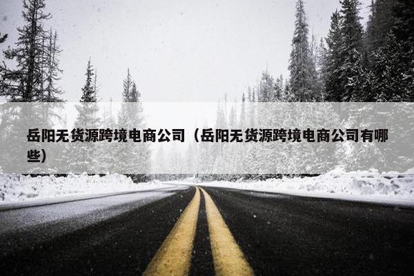 岳阳无货源跨境电商公司(岳阳无货源跨境电商公司有哪些)