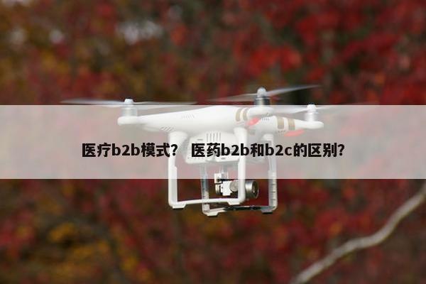 医疗b2b模式？ 医药b2b和b2c的区别？