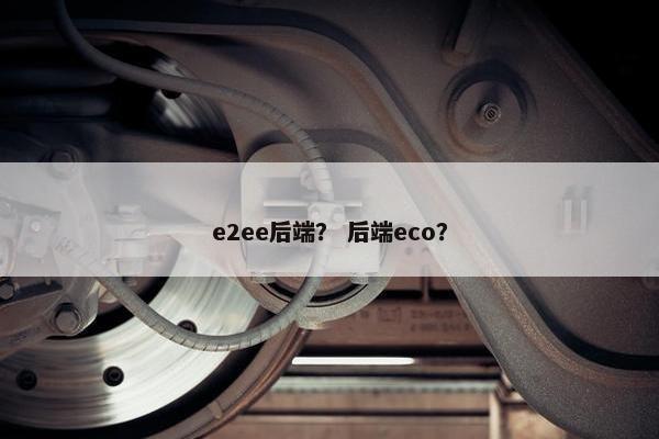 e2ee后端？ 后端eco？