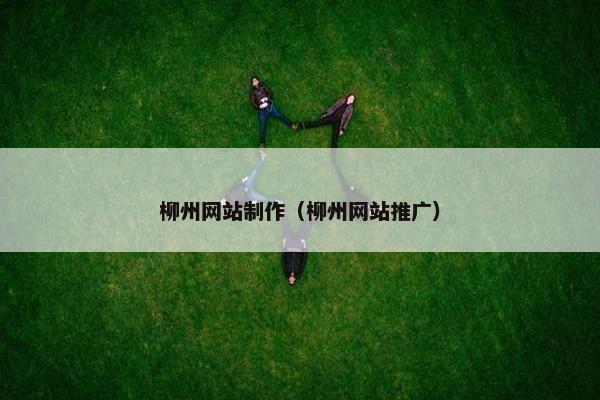 柳州网站制作（柳州网站推广）
