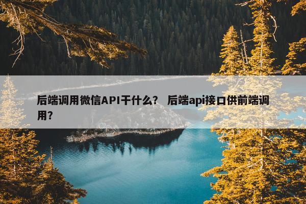 后端调用微信API干什么? 后端api接口供前端调用?
