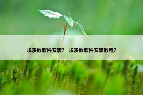求凑数软件安装？ 求凑数软件安装教程？