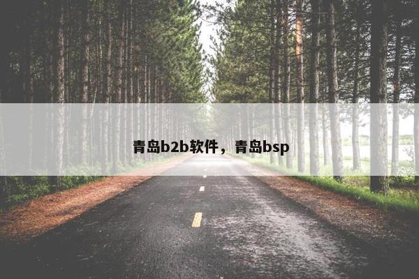青岛b2b软件，青岛bsp