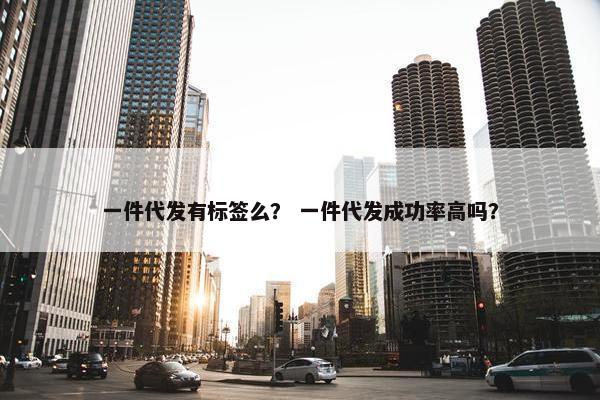 一件代发有标签么？ 一件代发成功率高吗？