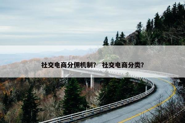 社交电商分佣机制? 社交电商分类?